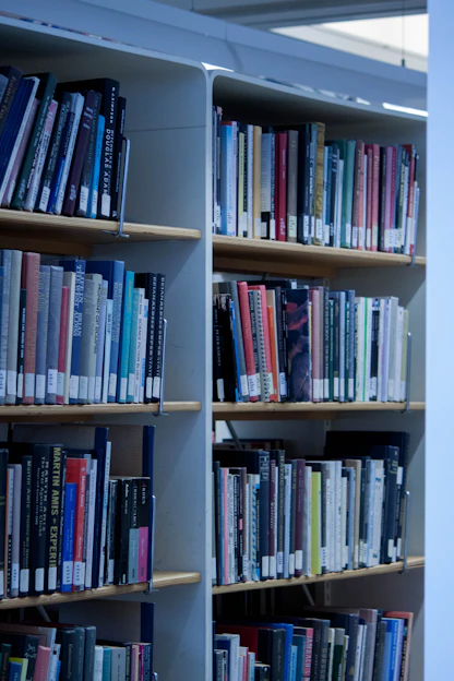 bunch of books in shelf