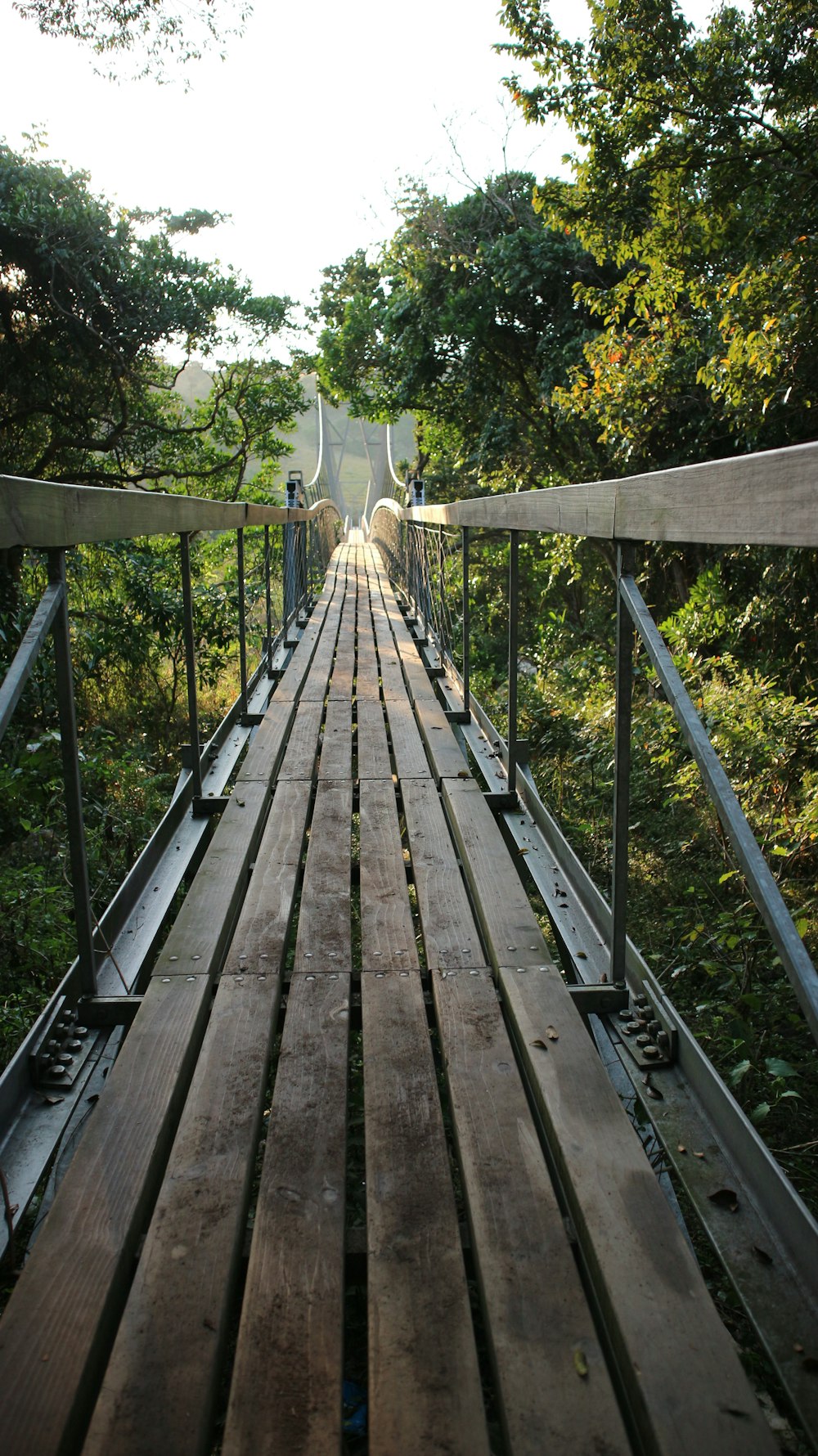 braune Holzbrücke, umgeben von hohen und grünen Bäumen