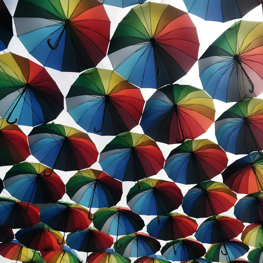 hanged multicolored umbrellas