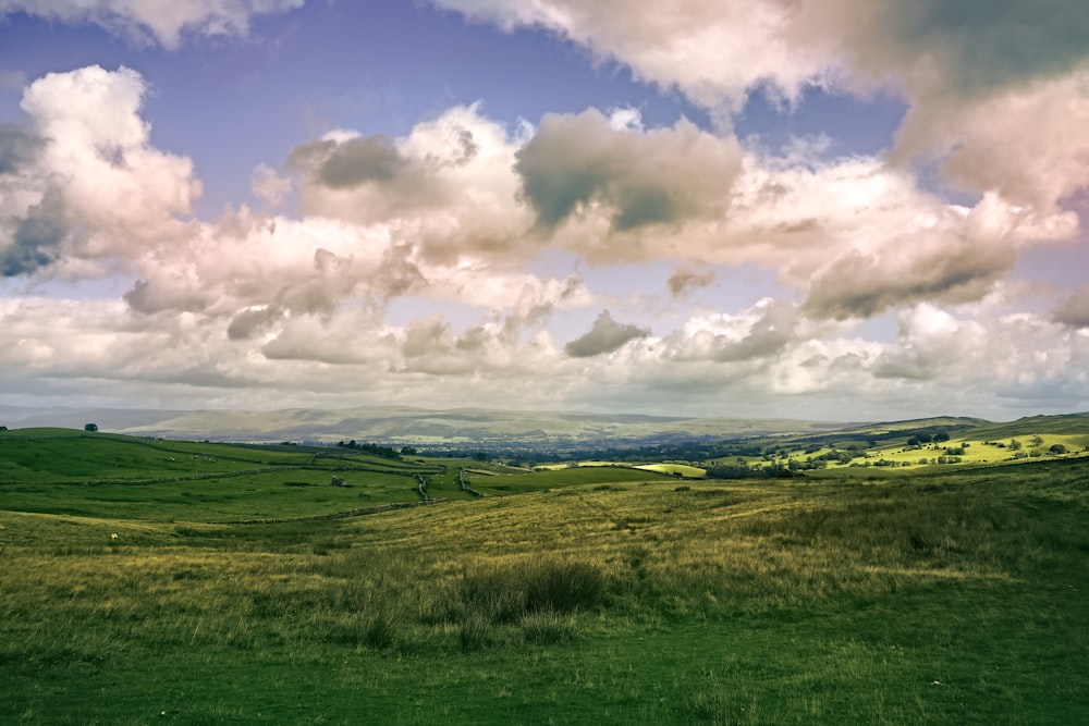 green field under sky