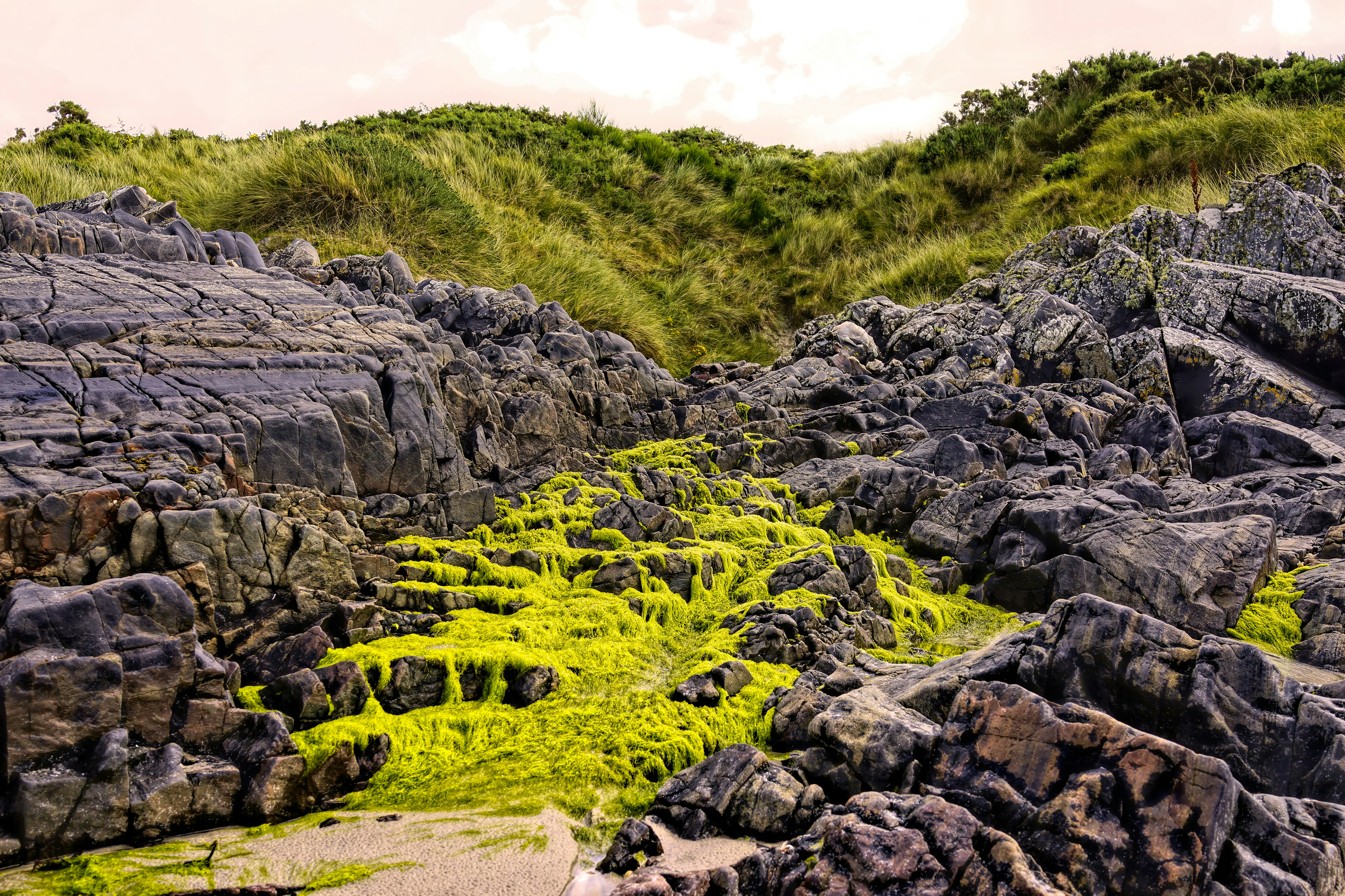 Photo by treesoftheplanet