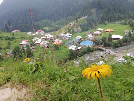 A picturesque village is nestled in a lush green valley surrounded by dense forest. Numerous small houses with colorful roofs are scattered throughout the landscape. In the foreground, a vibrant yellow flower stands out against the greenery, and a river flows gently through the village, adding to the serene setting.