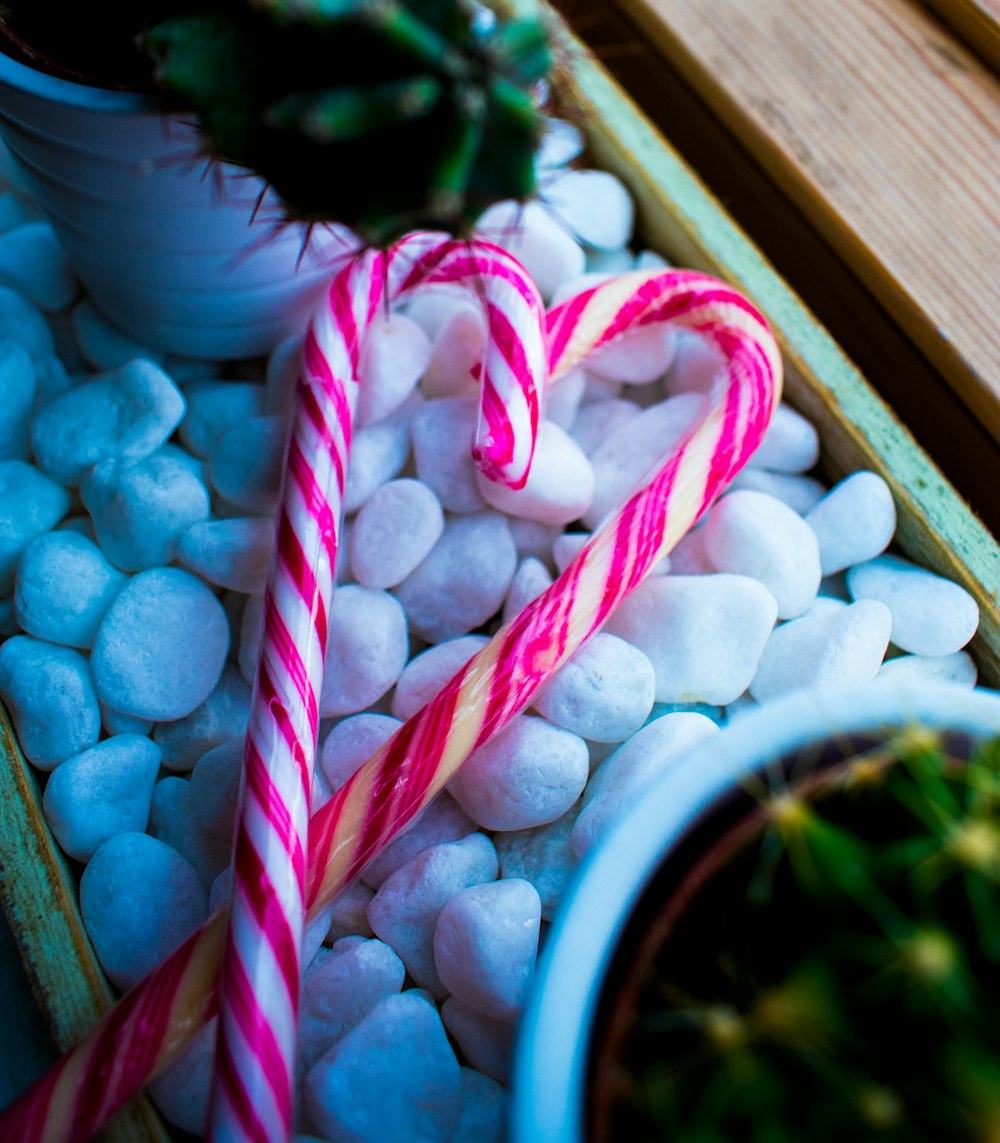 two candy canes on white stones