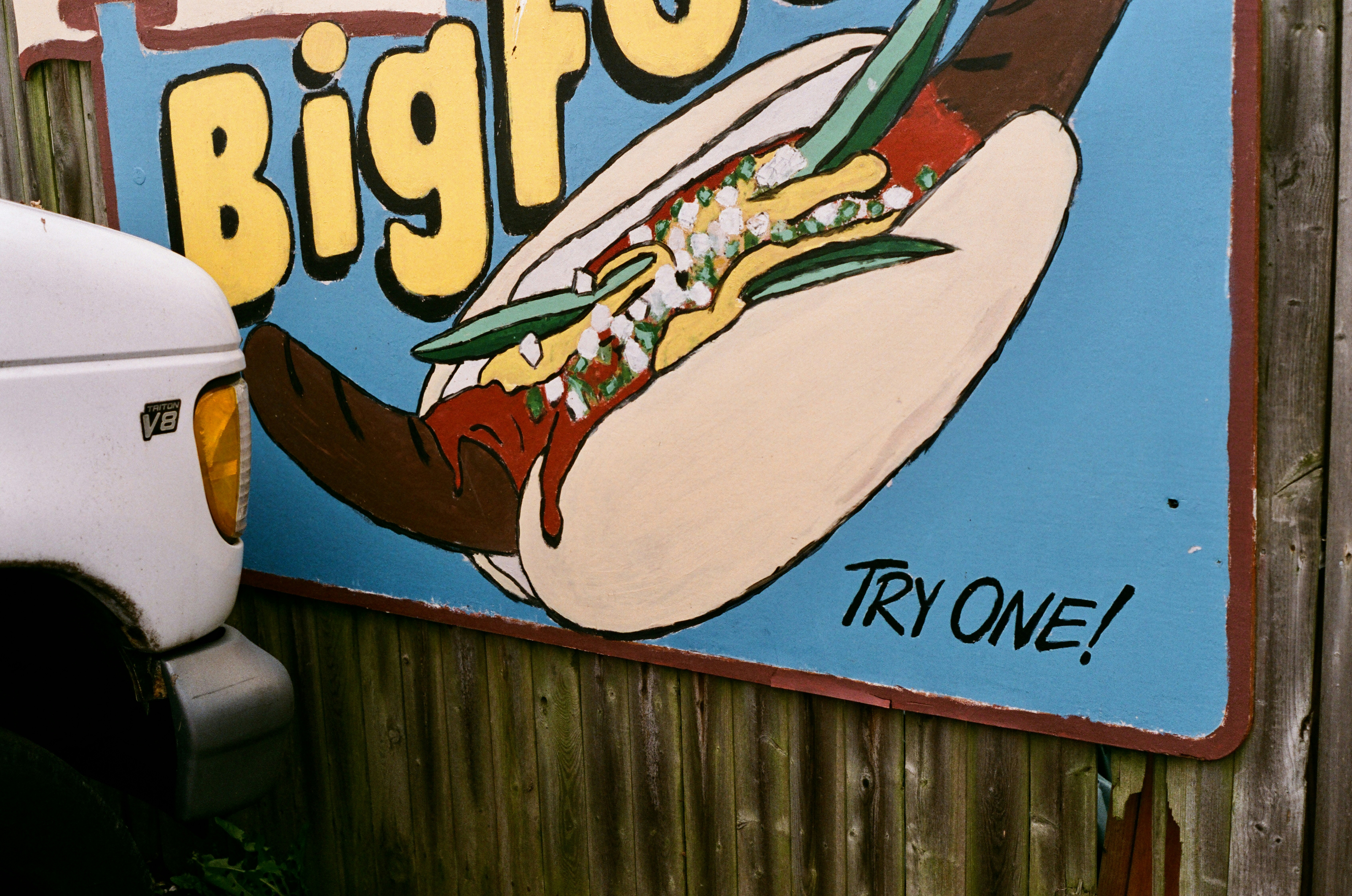 Photo by lilyrosemary