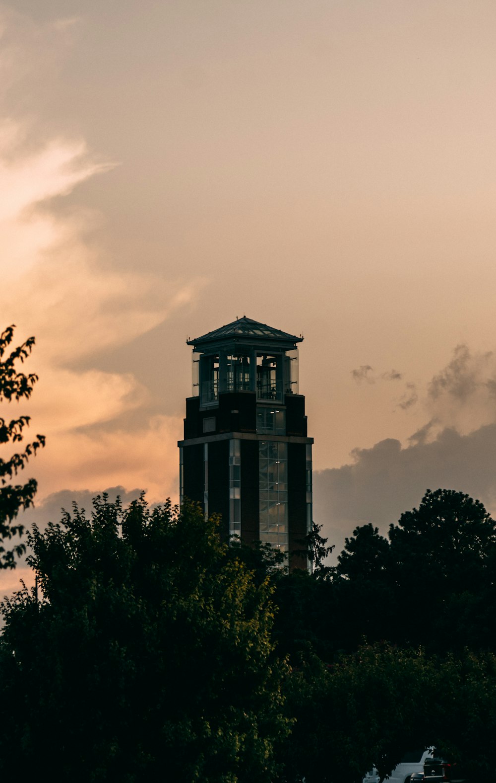 black tower building surrounded with tall and green trees