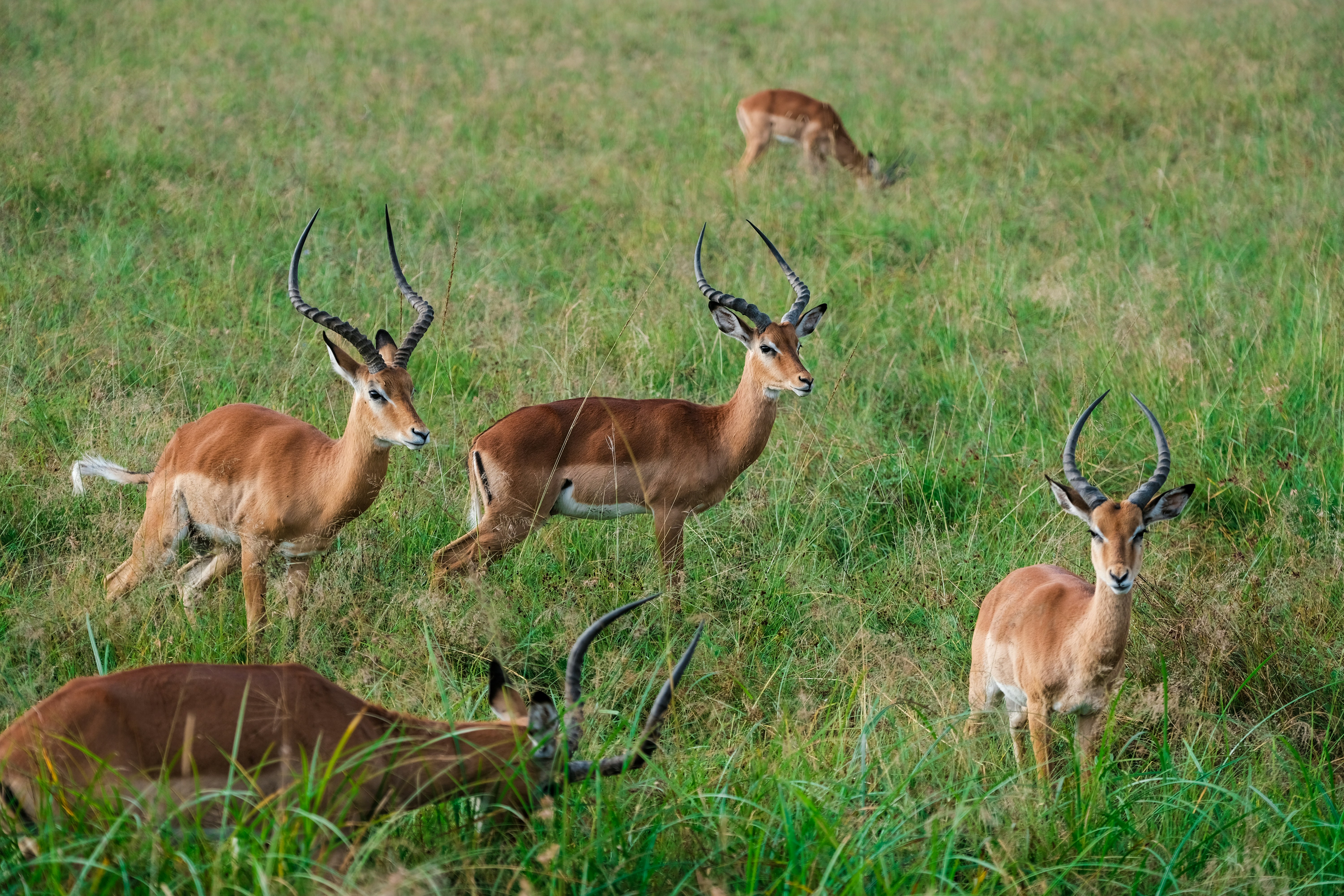 Photo by christergundersen