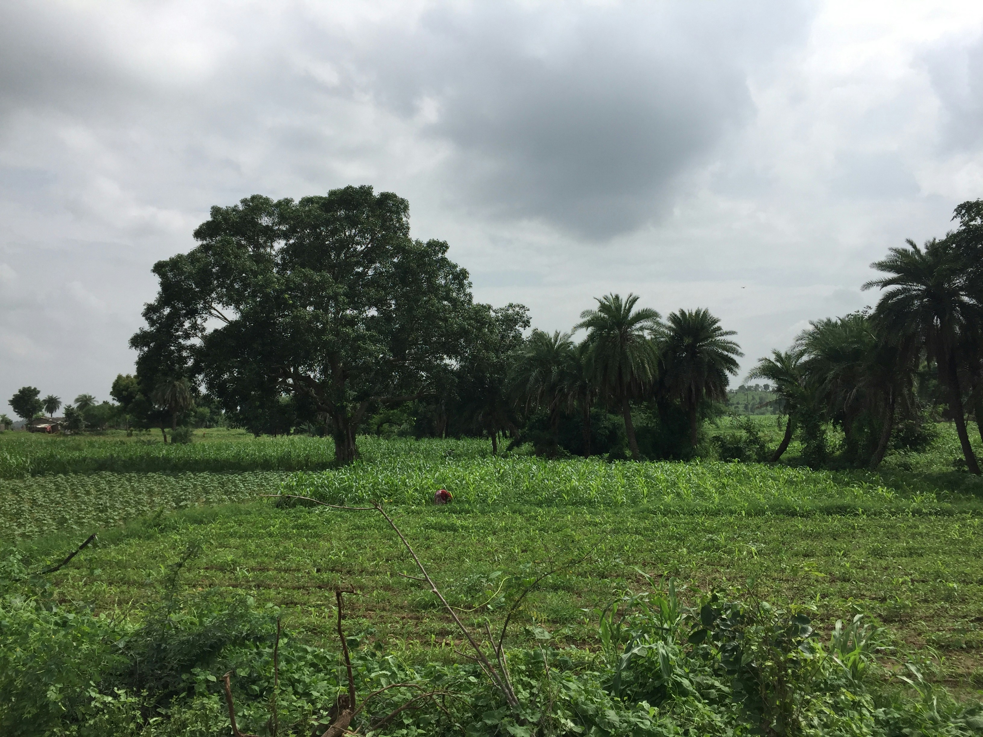 Photo by alwayskamals