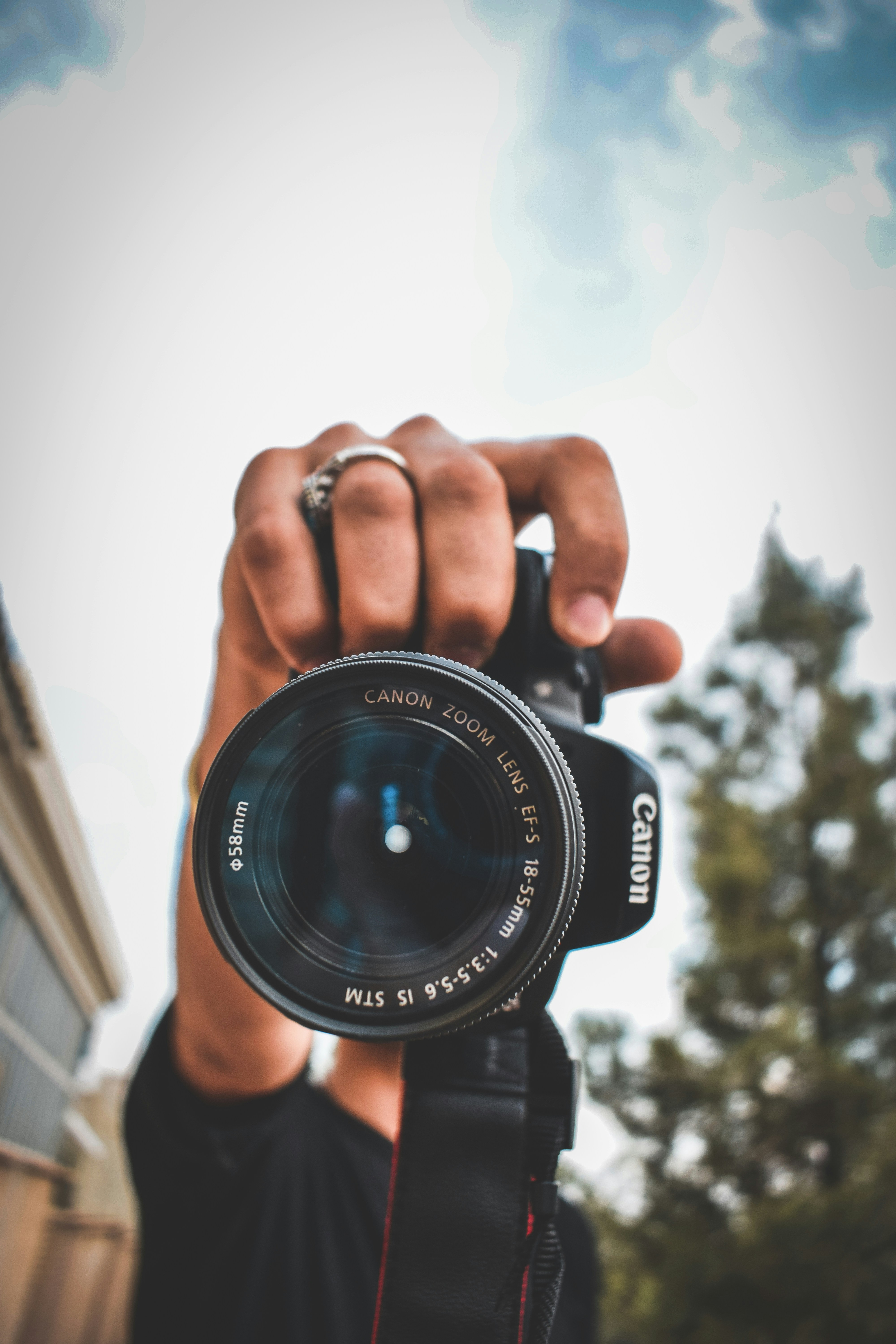 Photo by rezanargesian