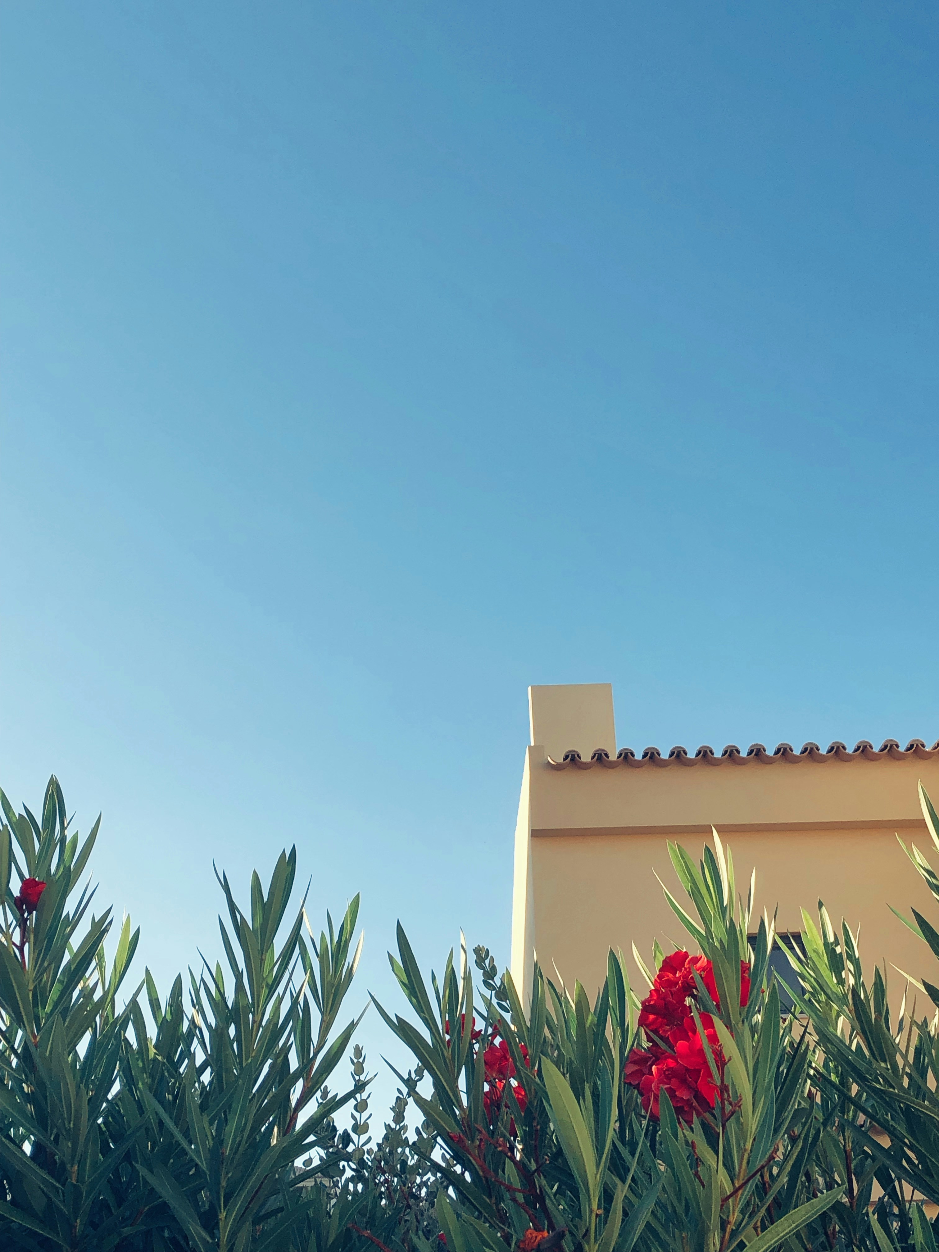 Photo by reinsgraphy