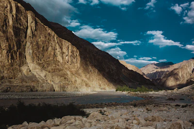 Handpicked From The Valleys Of Ladakh