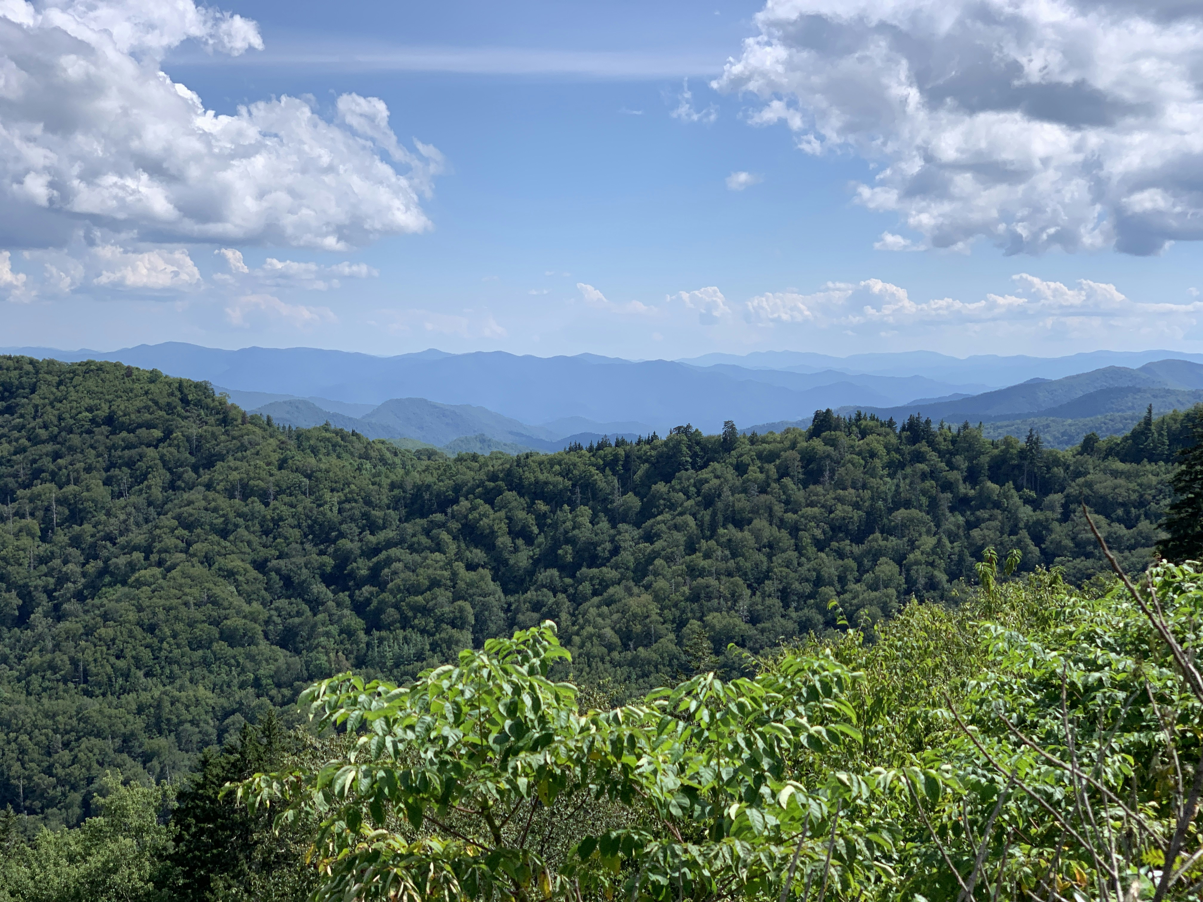 Photo by joshistheshit91