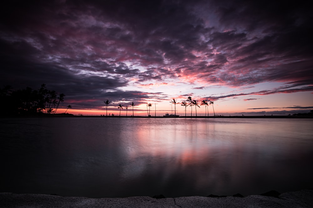 silhouette photography of trees under dramatic sky during golden hour