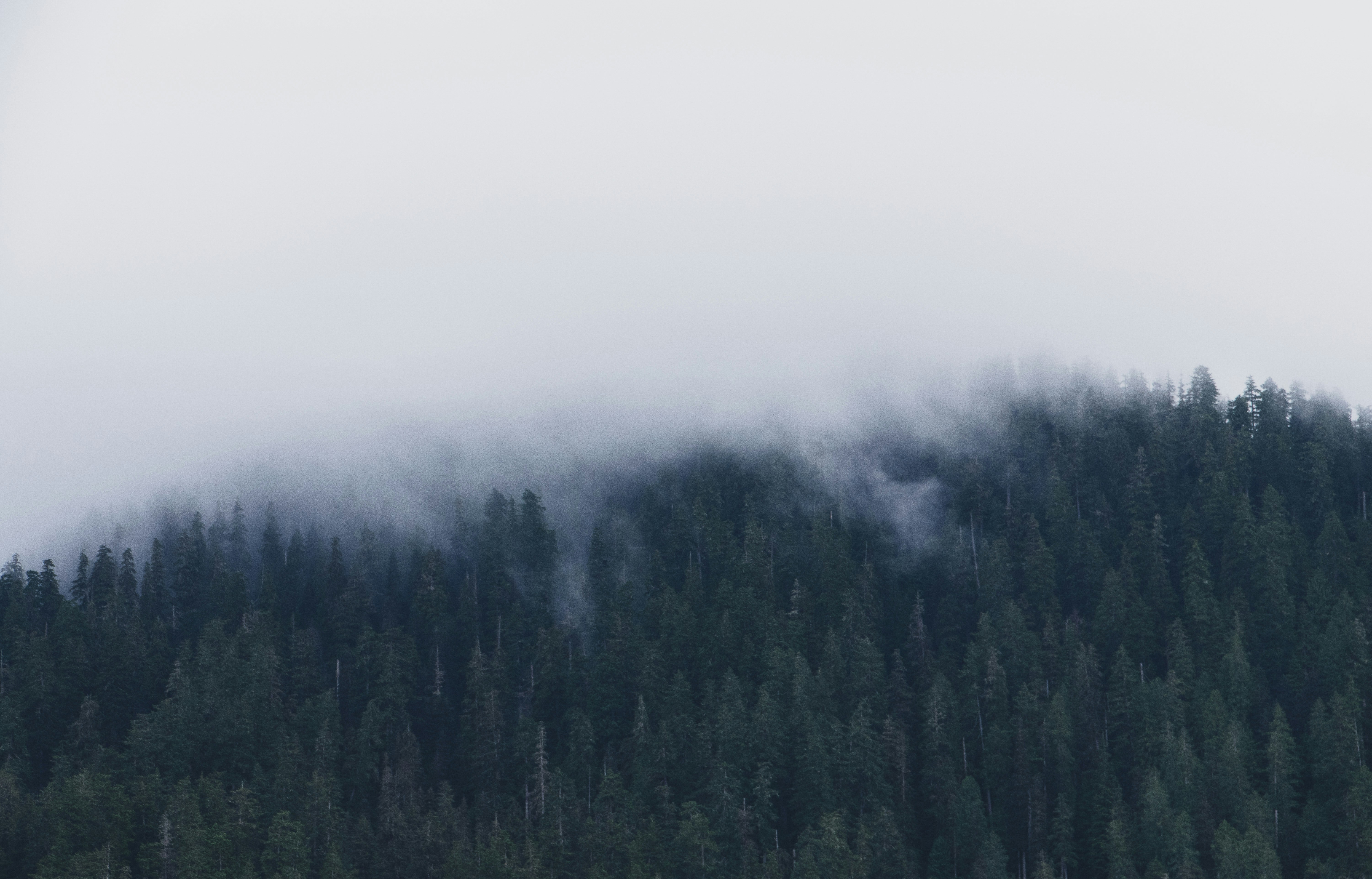 Photo by kevinortizdesign