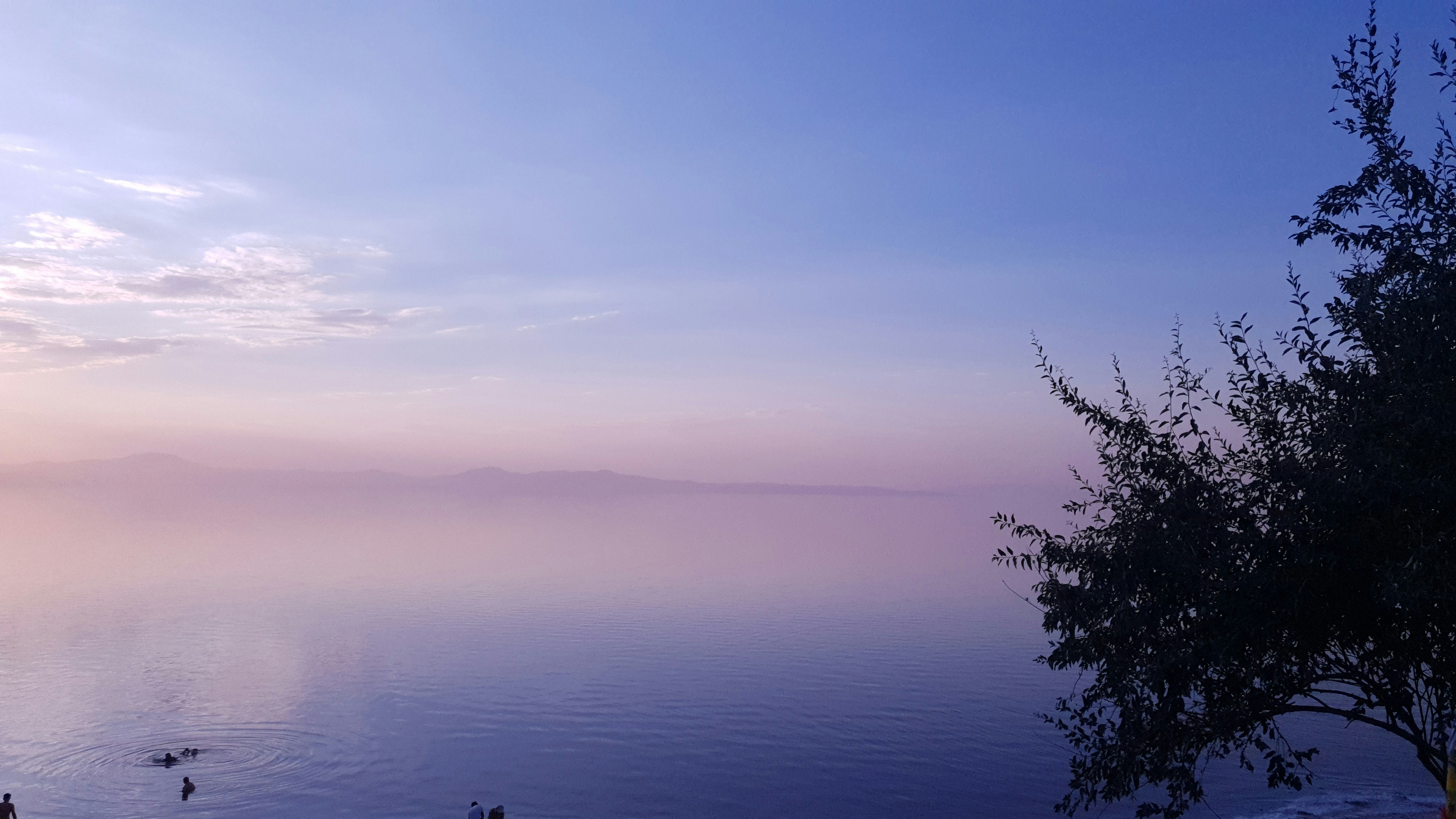 Photo by alirezaafkar