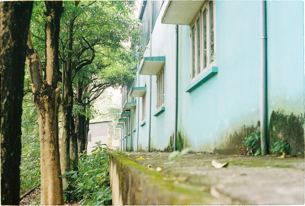 trees near white painted building during daytime