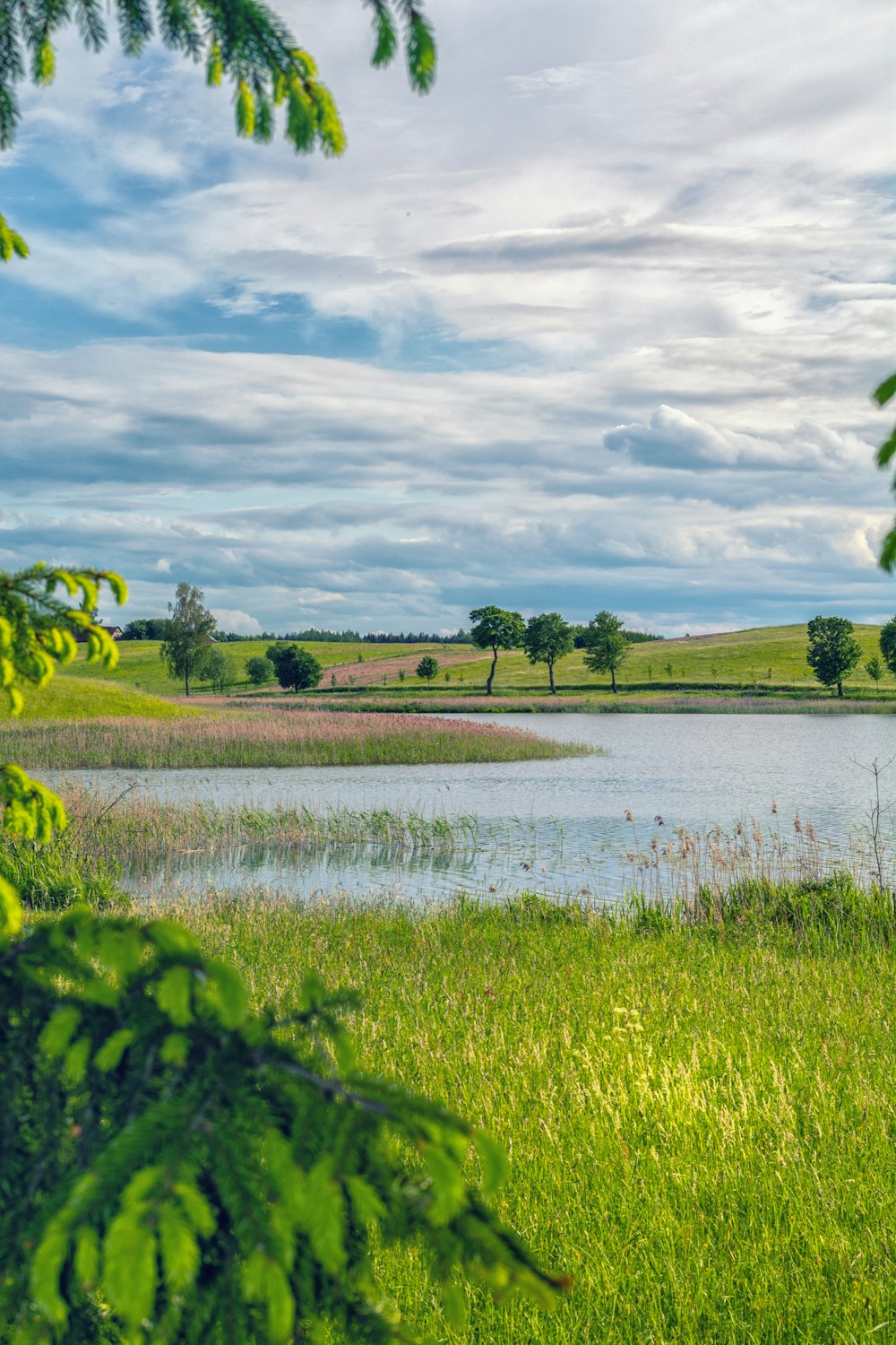 Teich in der Nähe einer grünen Wiese unter blauem und weißem Himmel während des Tages