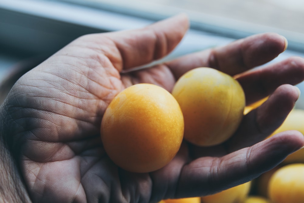 person holding yellow citrus fruit