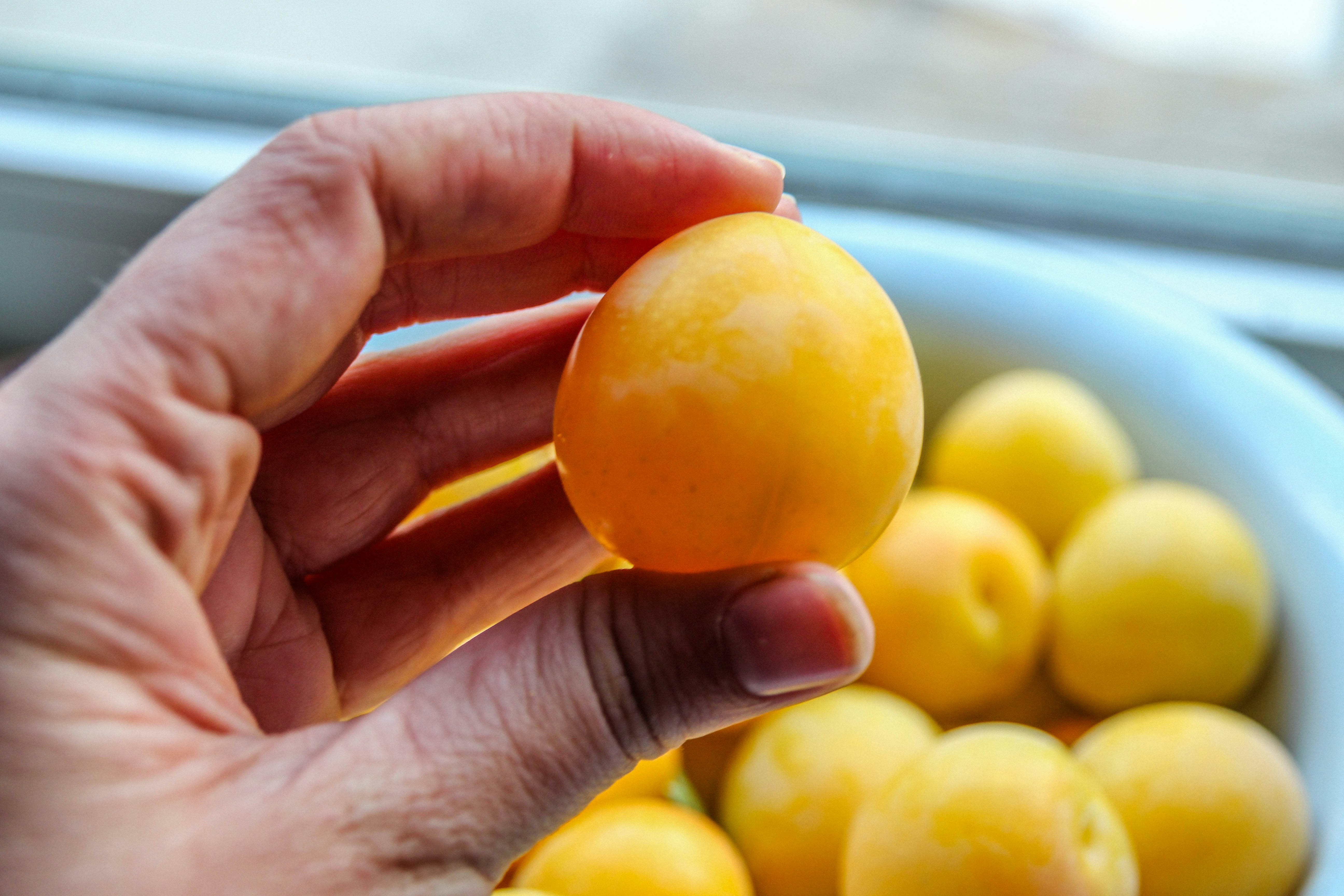 shallow focus photo of person holding yellow fruit
