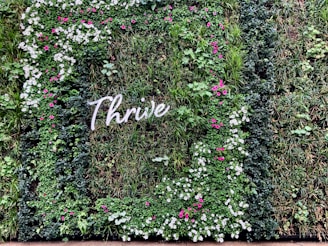 A lush vertical garden with a mix of green foliage and small colorful flowers, arranged in a way that spells out the word 'Thrive'. The flowers are predominantly pink and white, scattered throughout the greenery.