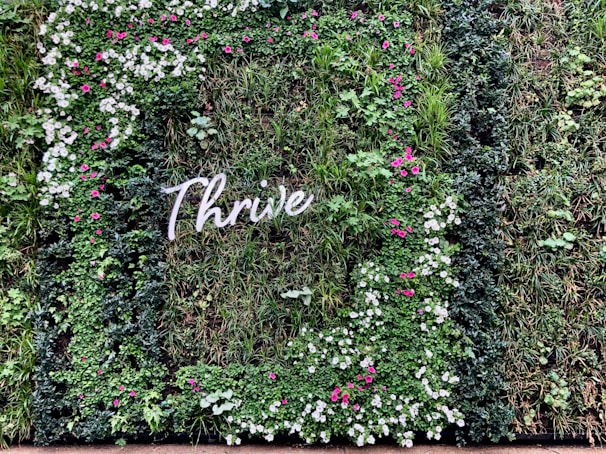 A lush vertical garden with a mix of green foliage and small colorful flowers, arranged in a way that spells out the word 'Thrive'. The flowers are predominantly pink and white, scattered throughout the greenery.