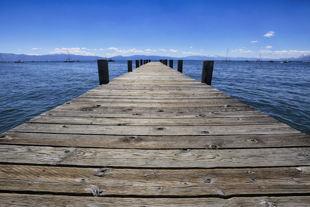 brown wooden dock