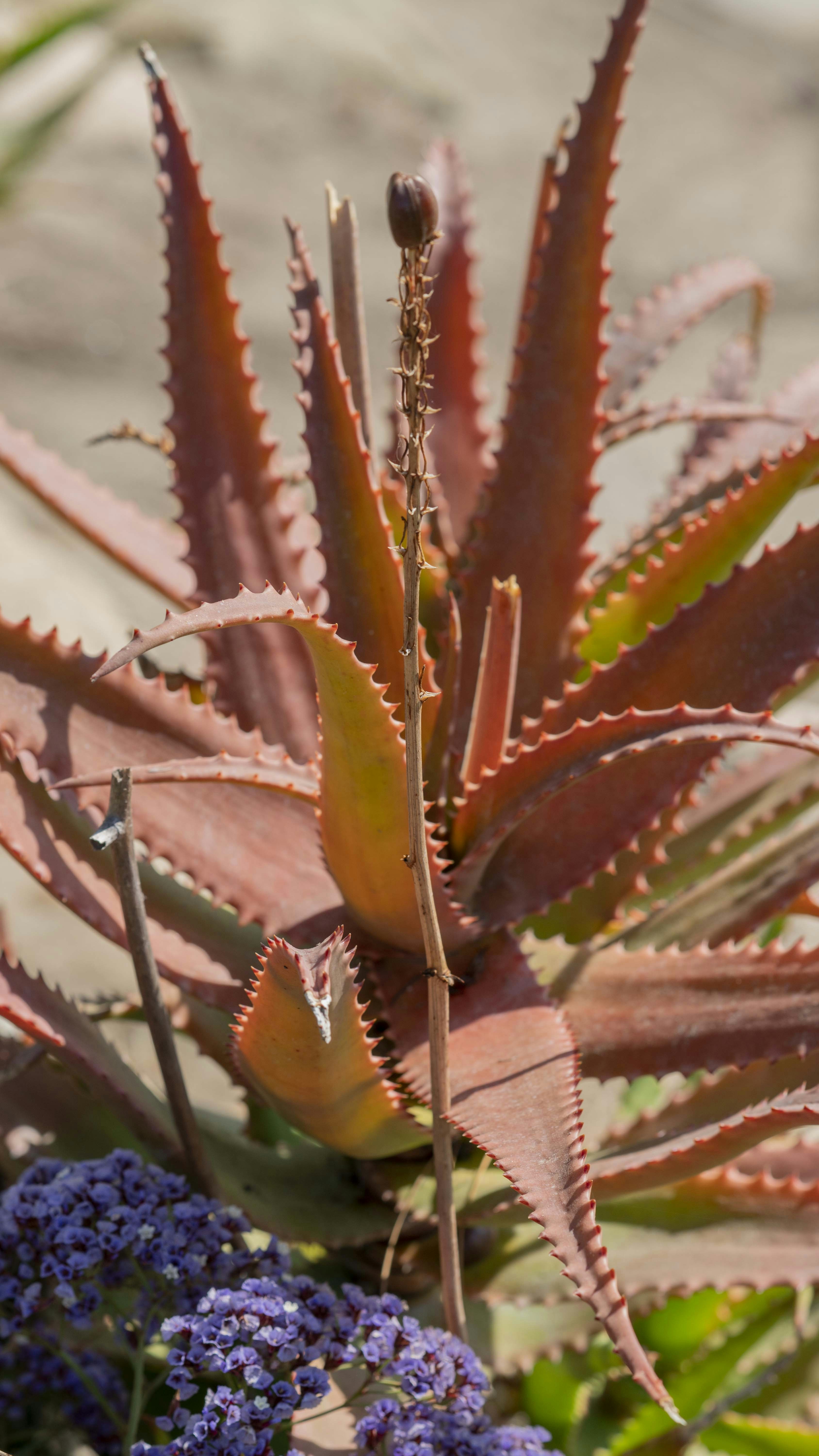 Photo by vincebalderas