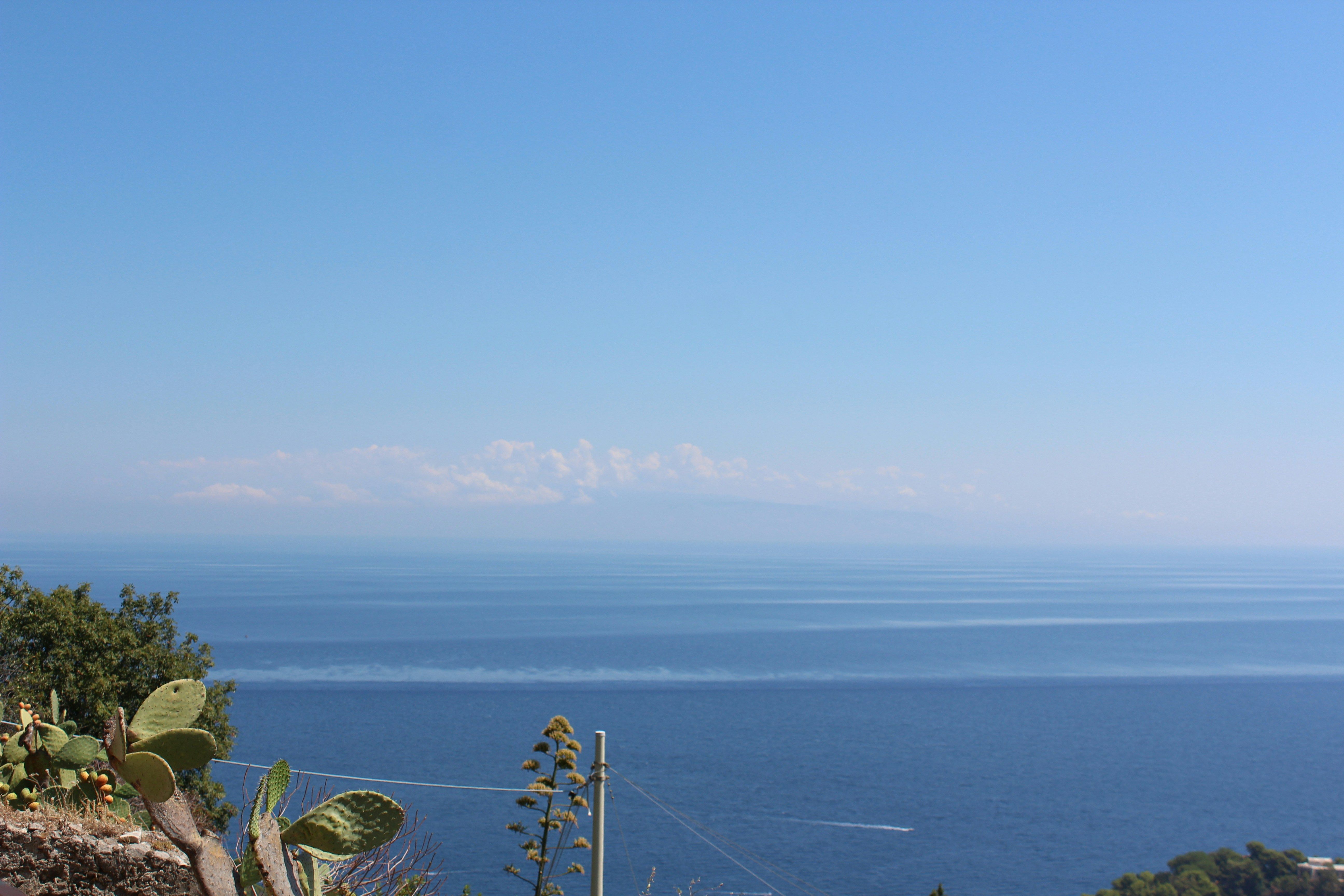 Photo by sakamotomari