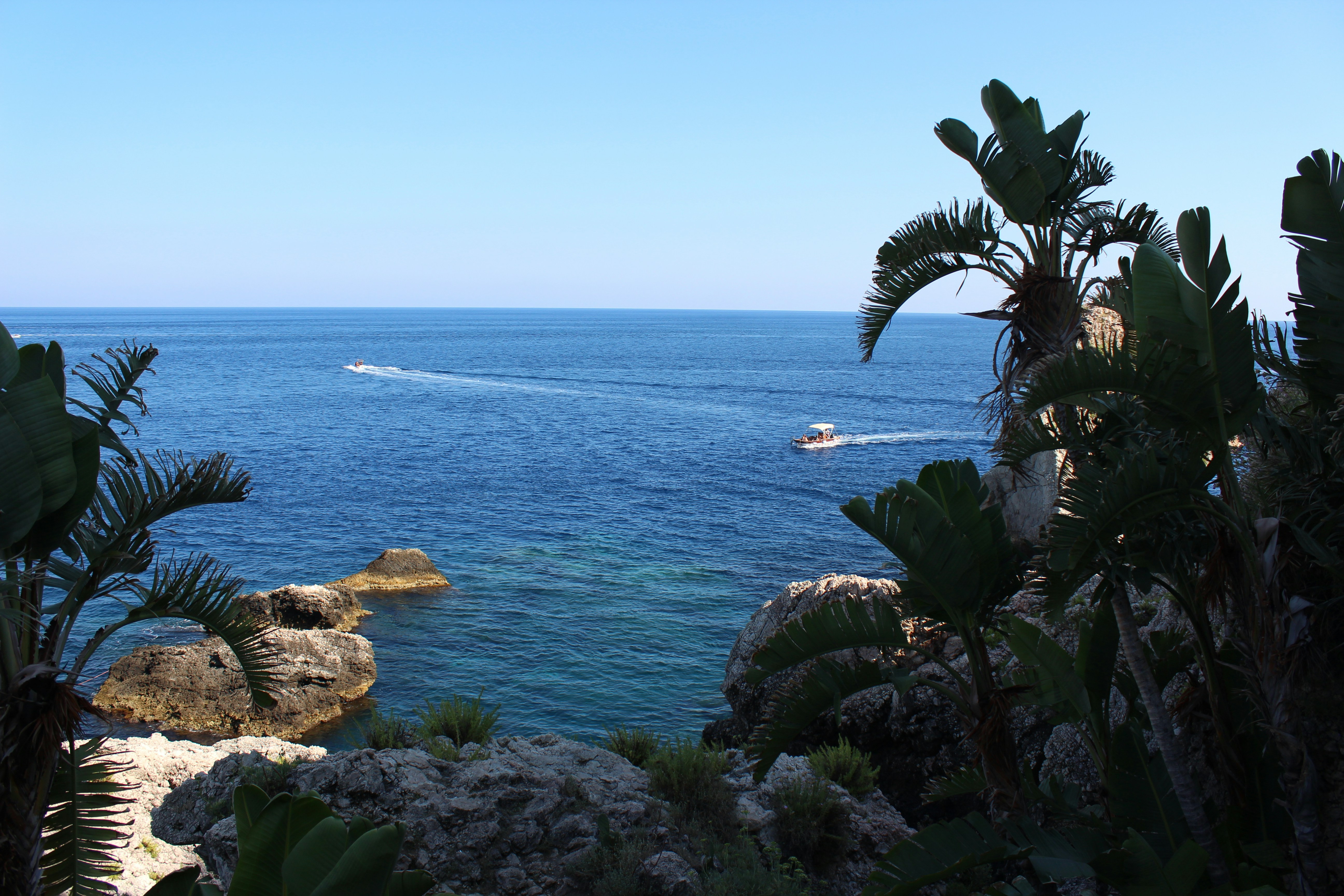 Photo by sakamotomari