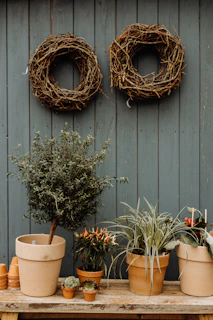 A rustic wooden table supports various potted plants, including small succulents and larger leafy plants, against a teal wooden wall. Two grapevine wreaths hang on the wall above the table, adding to the natural and earthy atmosphere.