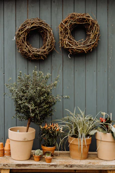 A rustic wooden table supports various potted plants, including small succulents and larger leafy plants, against a teal wooden wall. Two grapevine wreaths hang on the wall above the table, adding to the natural and earthy atmosphere.