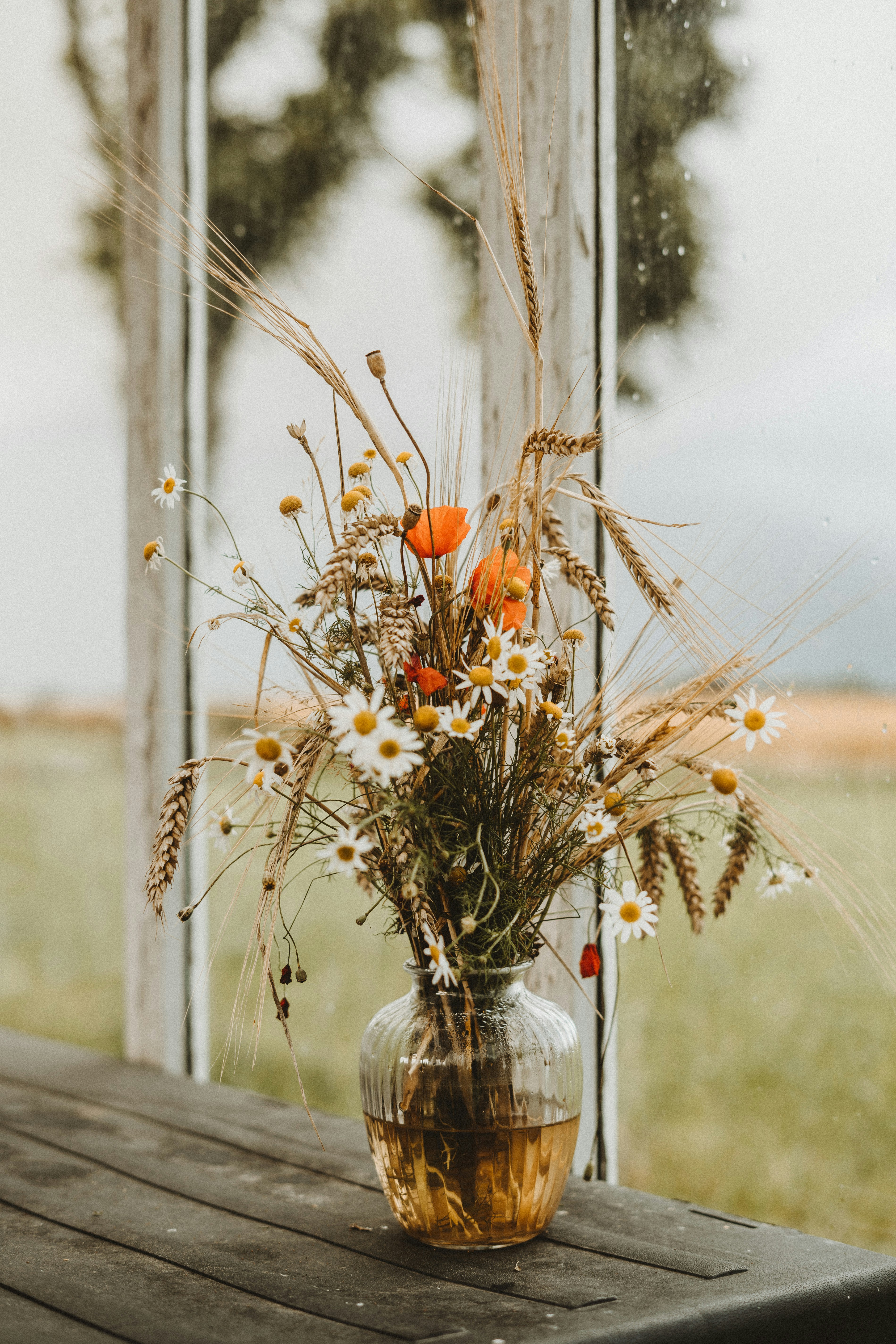 white and orange flowers on clear glass vase