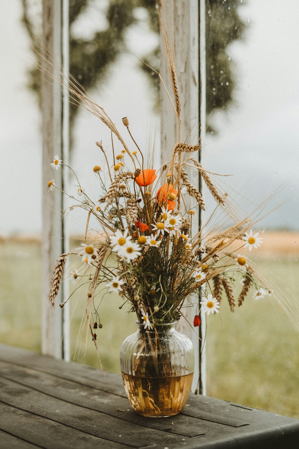 weiße und orangefarbene Blumen auf klarer Glasvase