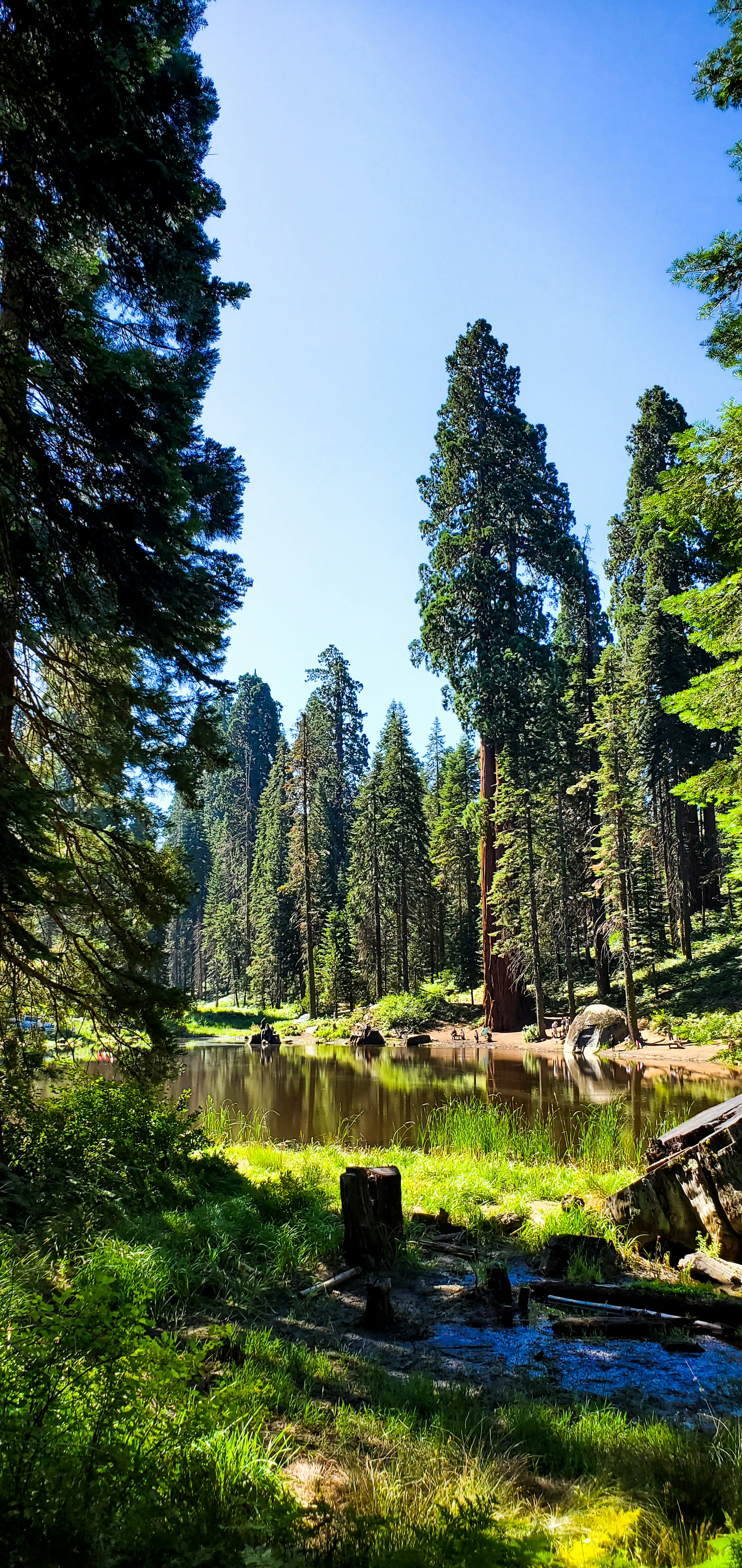 Photo by warthog_brrtt