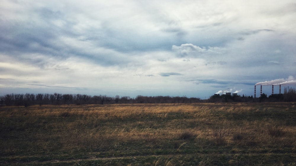 wheat field under cloudy sky