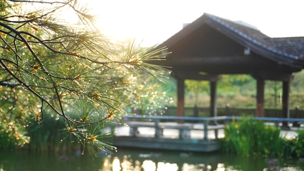 black gazebo