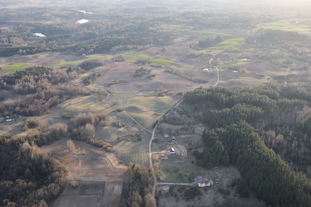 aerial photo of green trees during daytime