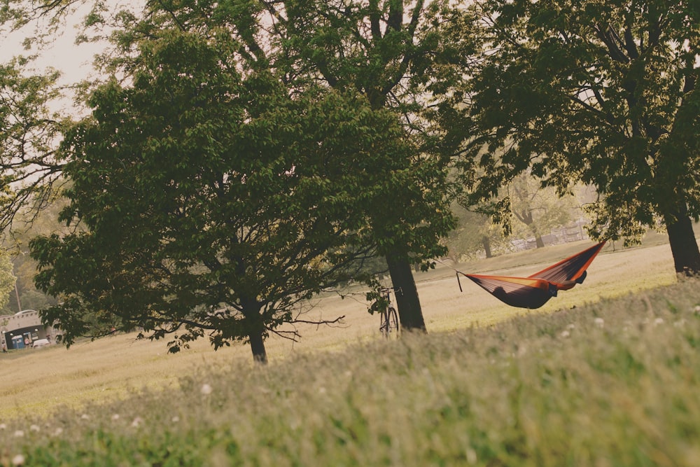 person lying down in a hammock hanging between trees