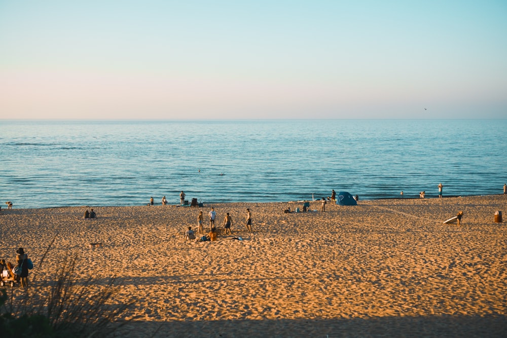 seashore during daytime