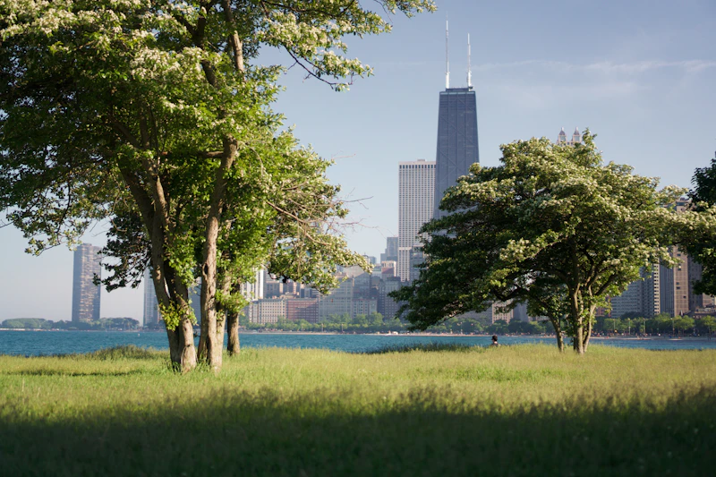 Best Eco-Friendly Resorts and Sustainable Stays in Chicago