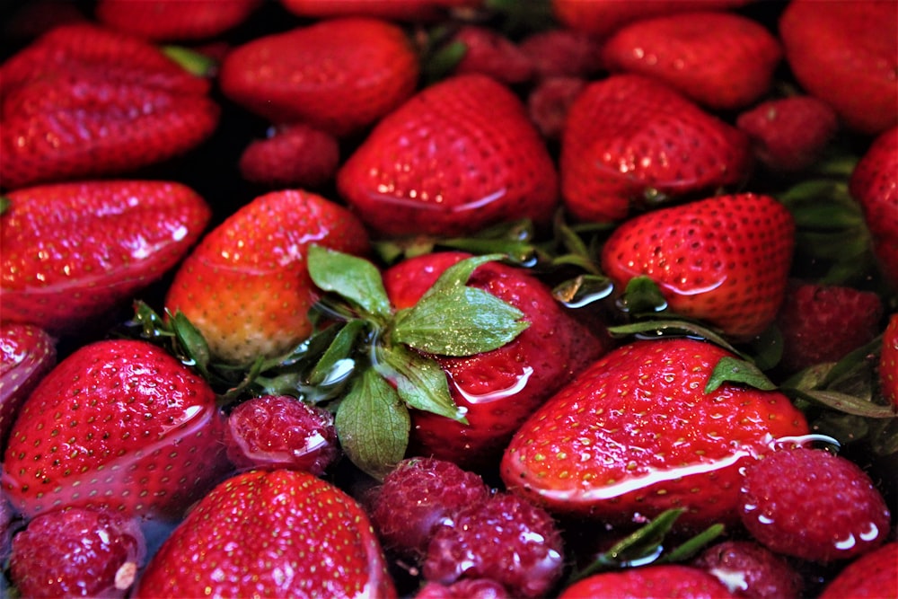 strawberry fruit lot