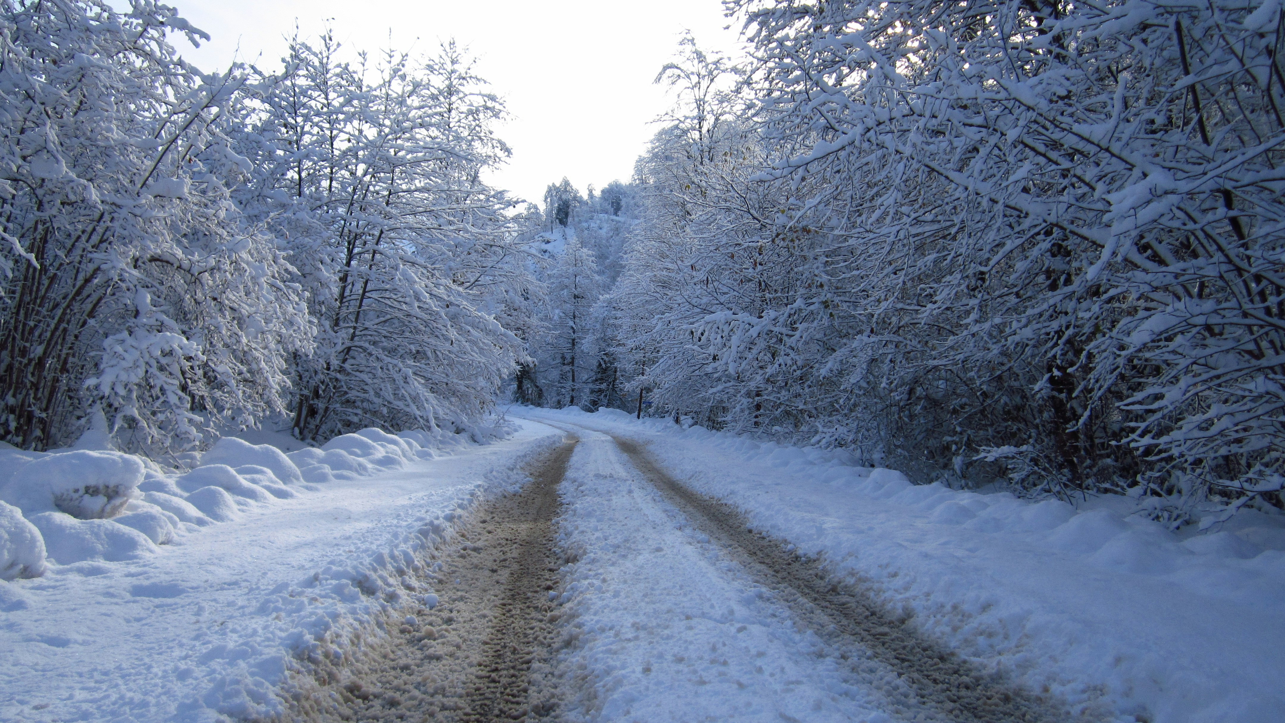 Photo by huseyinozbekar