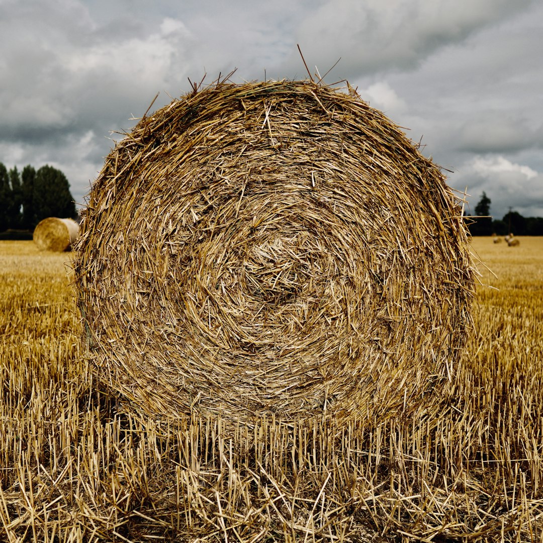 brown rolling hay under white and blue gray sky during daytime