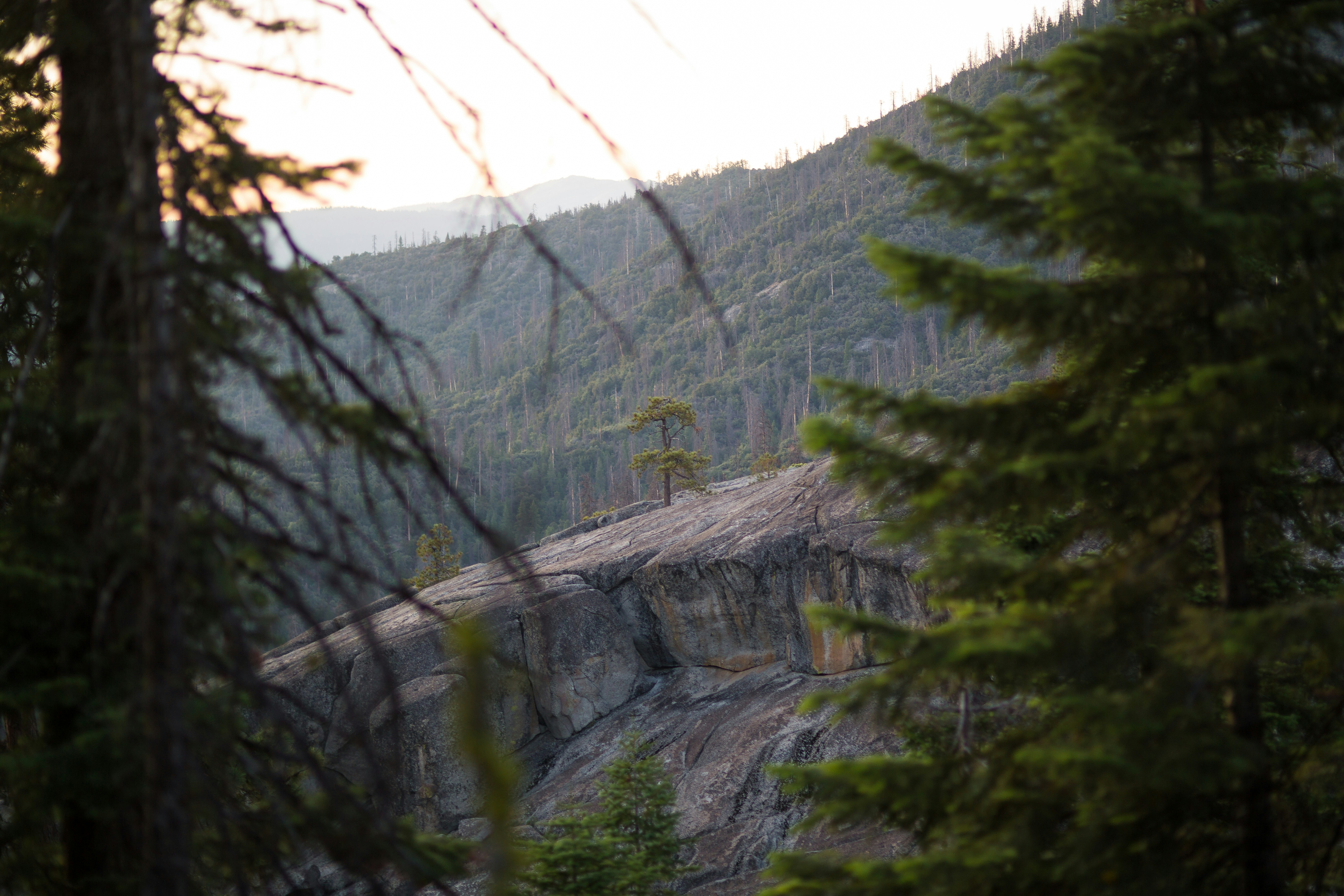 Photo by elijahdhiett