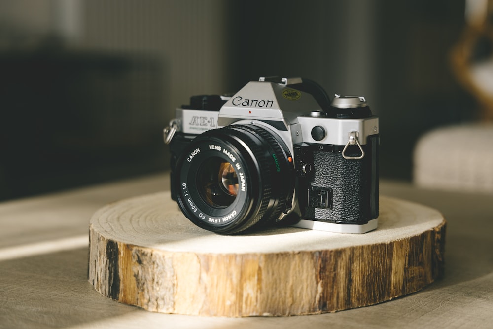 selective focus photo of black and gray Canon bridge camera