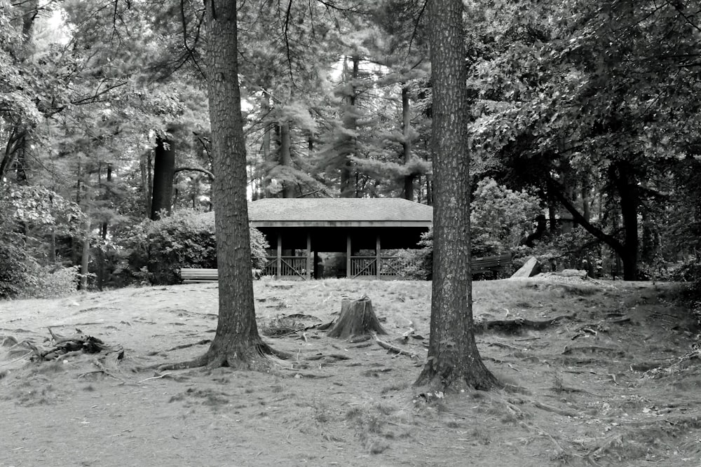 brown wooden house