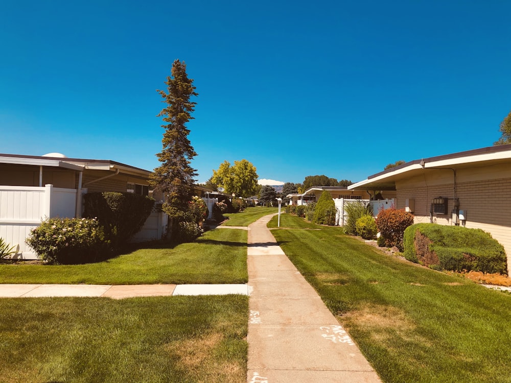 brown concrete pathway near house during daytime