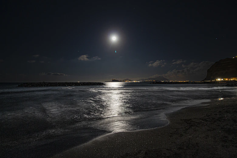 Moonlight reflecting on dark ocean waves at a beach with distant city lights