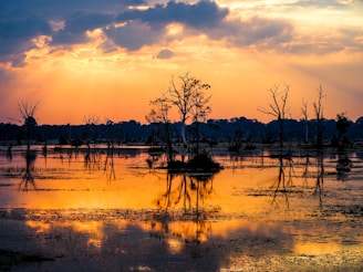 lake under golden hour
