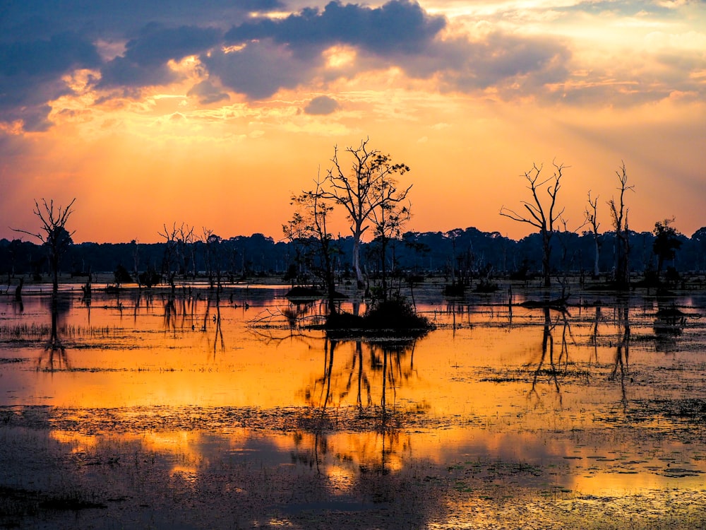 lake under golden hour