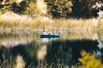 A tranquil lake setting with a small boat in the center, occupied by a person engaged in fishing. The water is calm, reflecting the surrounding greenery and tall grasses. The backdrop consists of dense foliage with hues of green and brown.
